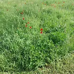 Relax By At Warmian-masurian Boguszewo